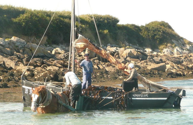 Comfortable Holiday Home Near the Beach - Foto 27