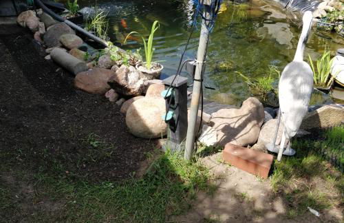 Gästehaus am Teich - Foto 37