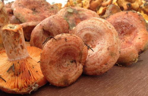 Turismo Rural Casa Sastre - Photo 22