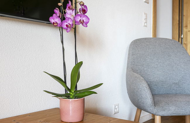 T-Resort La Tzoumaz 4p8 - Foto 9