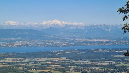 Large 4-room apartment between Switzerland and France - Foto 3