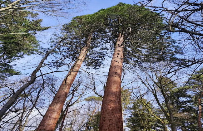 Chalet in Wendorf - Foto 24