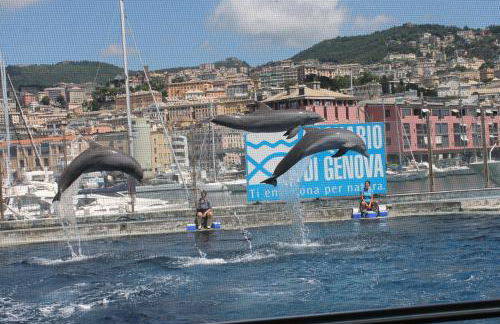 La perla bianca - Foto 40