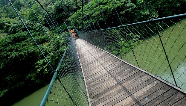 La visite de la plantation - Photo 3