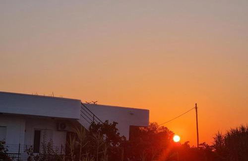 Silvi Mari Apartments - Foto 60