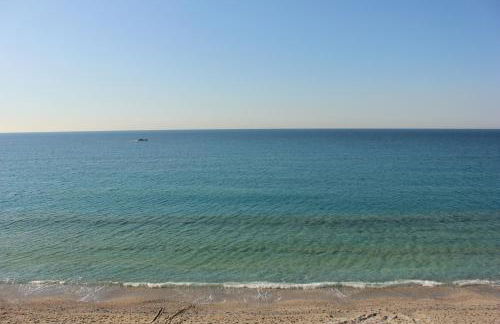 Les Agrumes - Foto 28