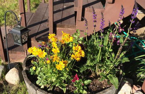 Pine Creek Cabin Livingston Montana - Foto 8