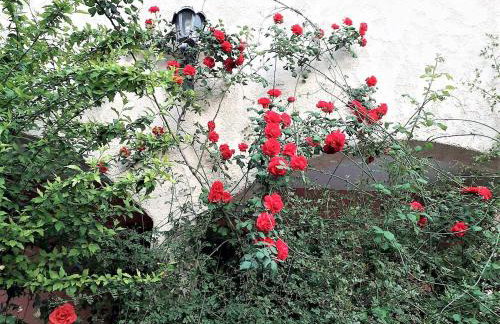 Villa Ioanneta - Close to sea, private parking, pet-friendly - Photo 47