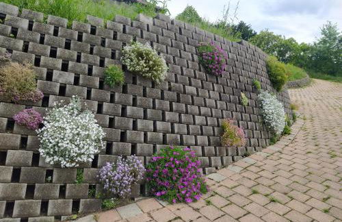 Villa Fiorita - Photo 15