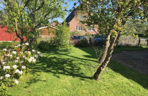 Föhrrückt - Foto 16