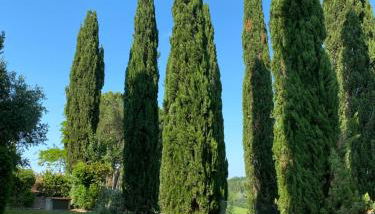 Villa Tre Colli - In The Heart Of Tuscany - Foto 4, Garden
