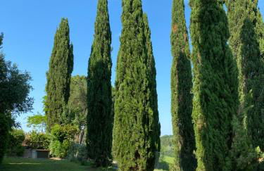 Villa Tre Colli - In The Heart Of Tuscany - Foto 4