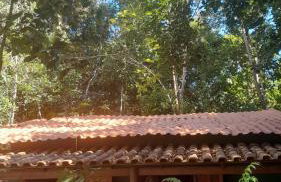 CHaLéS GuiGó, Refugio em meio a natureza - Photo 18