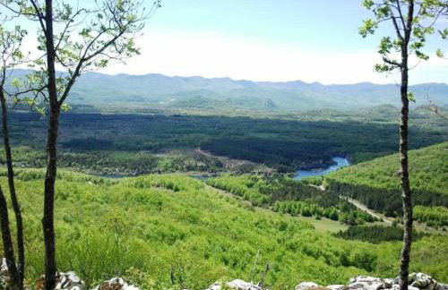 Apartmani Albatros - Foto 14