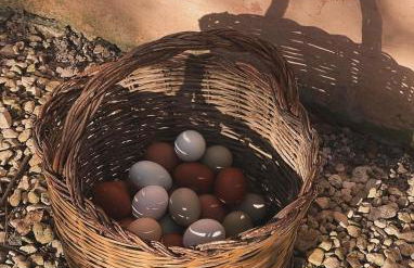 Lower Godney Little House - Foto 25