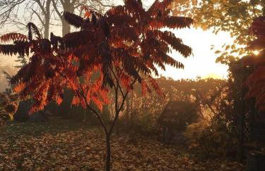 Ruda Chata Tałty - Photo 74