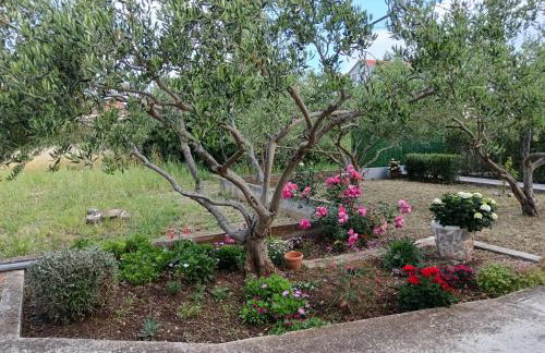 Apartments Tomas - Foto 72