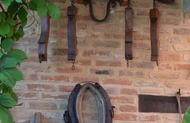 Agriturismo corte di Gerardo - Foto 37