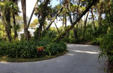 Palm View: Secluded Oasis in Melbourne Village - Foto 2