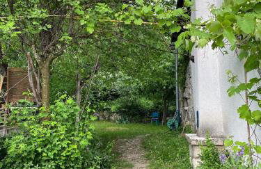 Vila Dolina - Foto 10