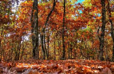 The Lady of the Lake - Photo 29