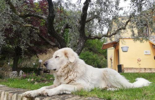 Agriturismo La Vecchia Fontana - Photo 40