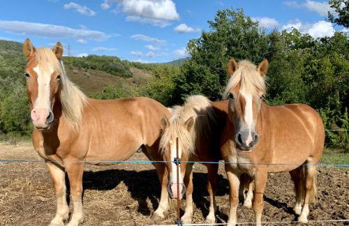 Podere I Massoni - Foto 6