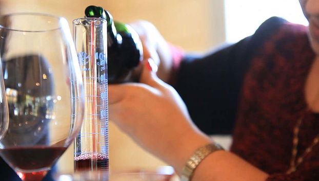 Bordeaux Wine Workshop - Photo 2