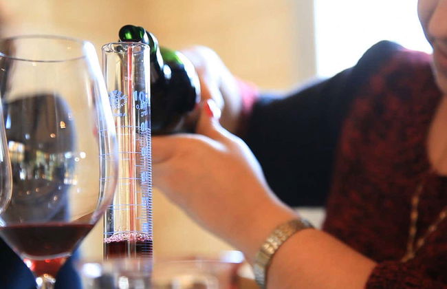 Bordeaux Wine Workshop - Photo 2