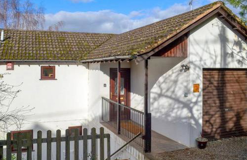 Middle Wicket - Foto 11