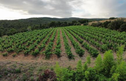 Gîte Vue Mer - Foto 33