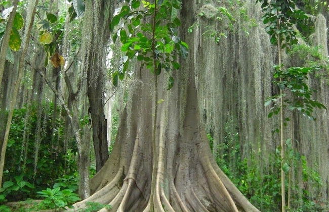 Apartamento Familiar - Foto 17