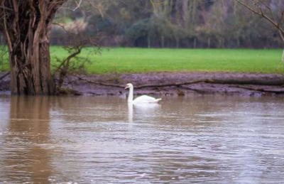 5BDR Luxe Villa By Torr Property Group Short Lets & Serviced Accommodation With Free Parking & River View Stratford-Upon-Avon - Foto 73
