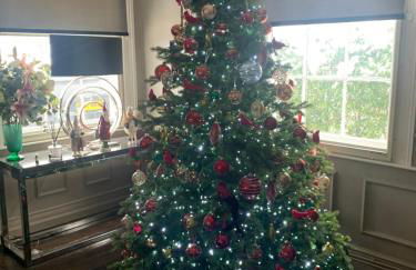 Ingram House with Hot Tub - Foto 13