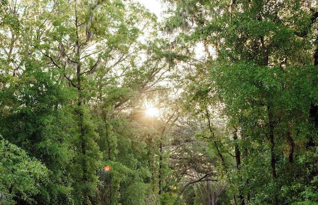 Postcard Cabins Hill Country, Outdoor Collection by Marriott Bonvoy - Foto 24