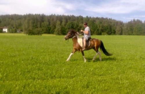 Apartment Wohnung in Bad Kötzting by Interhome - Foto 12