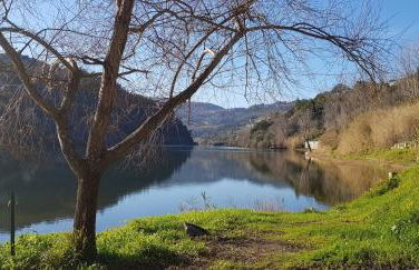 Douro Valley-Casa do Vimieiro - Foto 73