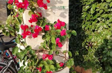 Villa Maria - Foto 16