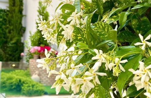 El Patio de los Jazmines "Boutique-House" - Foto 4