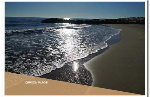 Appartement T2 - Golf de Fontcaude - Résidence Coté Green à Juvignac 34990 - Foto 31