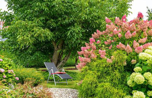 Gäste- und Appartementhaus Roswitha Huber - Foto 14