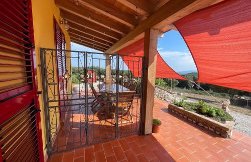 Azienda agricola Panorama - Foto 40