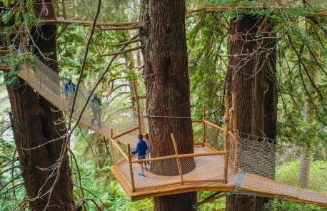 Surfside Beach House near Ancient Redwoods - Foto 18