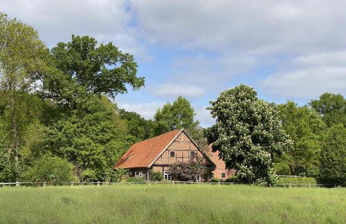 Ferienhäuser Weitblick - Photo 25