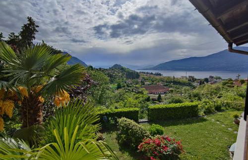 Feluca Porto - Photo 3