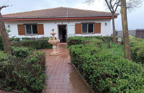 Casa Rural Chalet Venta del Aire Cortijo Terron - Foto 57