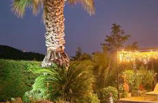 Les arbousiers - Foto 15