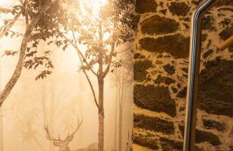 Ribeira Sacra a Orilla Rio Miño Casas do Pincelo - Foto 33