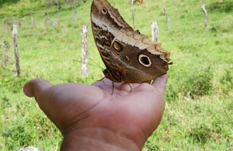 Glampling Nubes de Monteverde - Foto 72