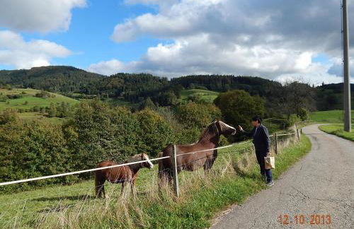 Haus Wiesental - Foto 36